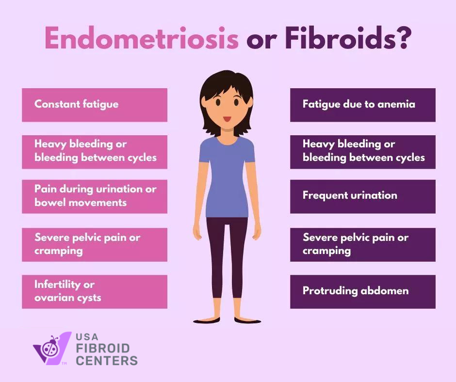 https://www.usafibroidcenters.com/content/uploads/2019/11/Endometriosis-vs.-Fibroids.png.webp