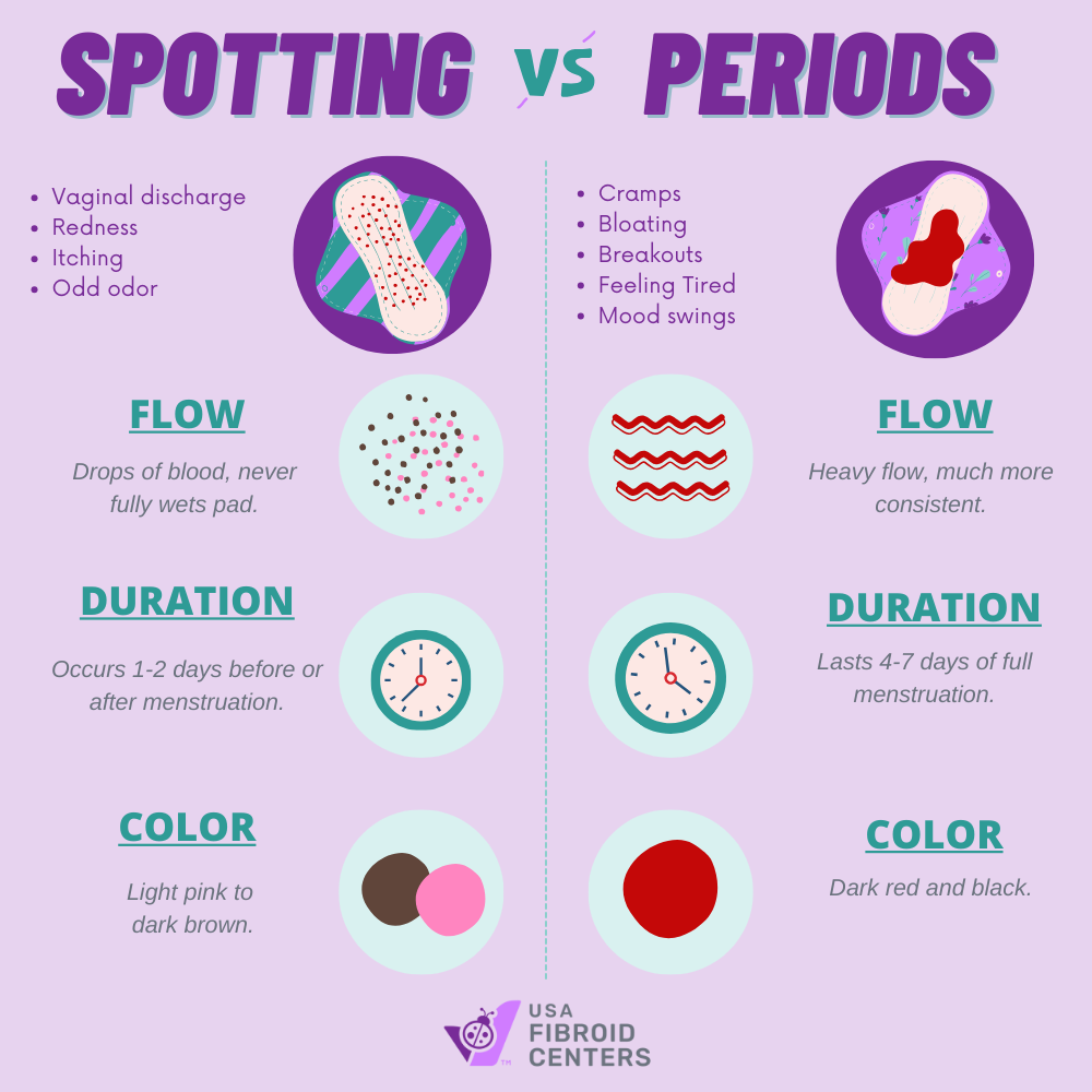 What is spotting? Spotting vs. period, The Fornix